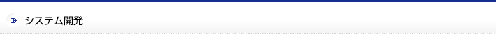 システム開発